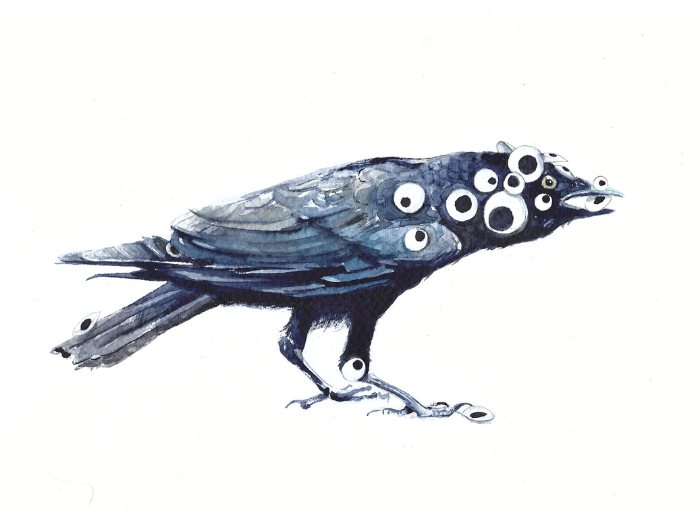 Beginning Illustration