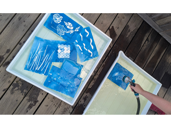 Cyanotype Deep Dive