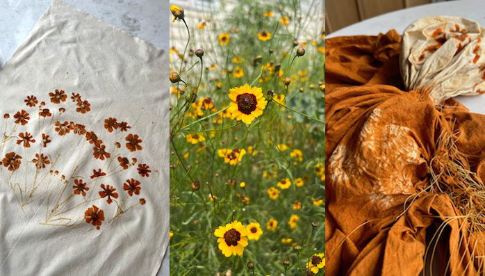 Eco Print Natural Dye Workshop