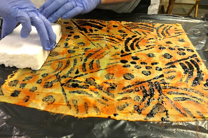 Exploring Procion MX Dyes