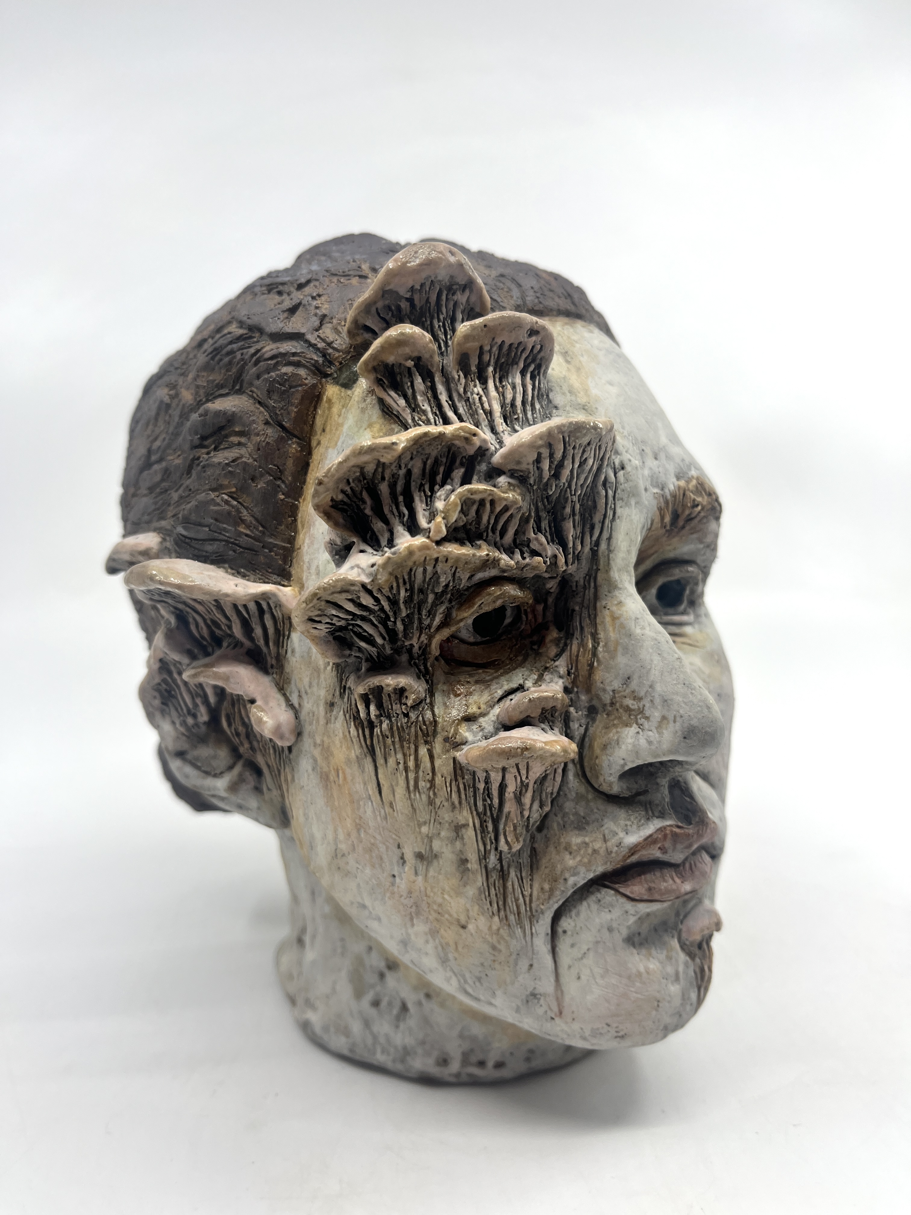 Evolved, freestanding head
