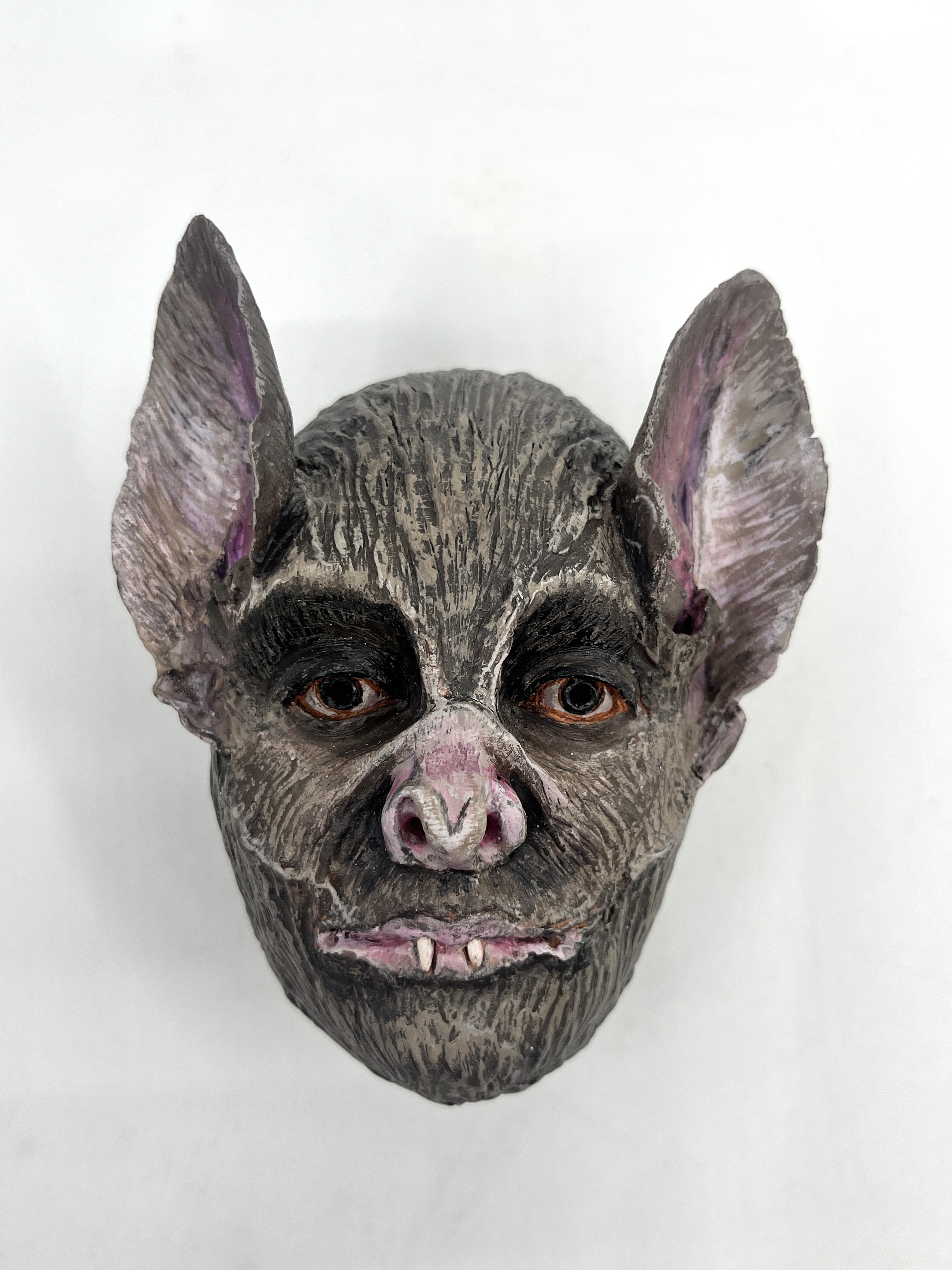 Benjamin (bat)