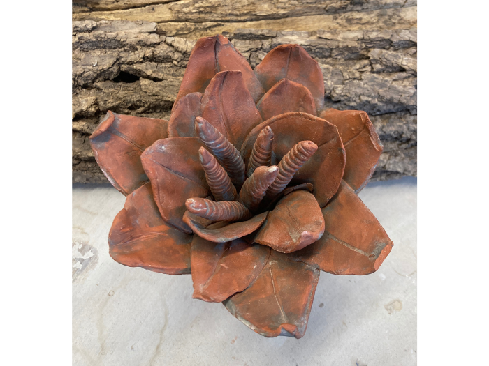 Inspired By Nature