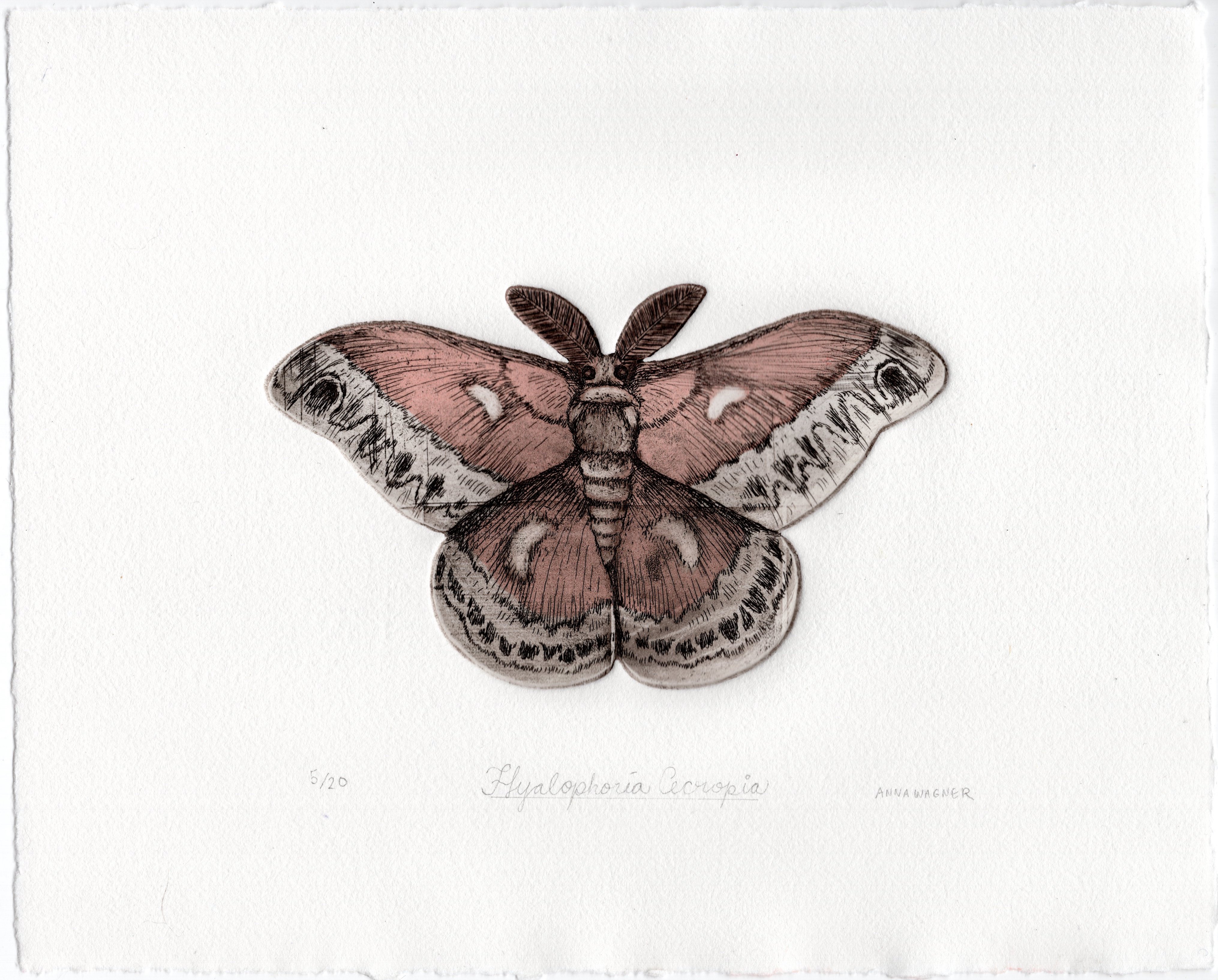 Introduction to Etching