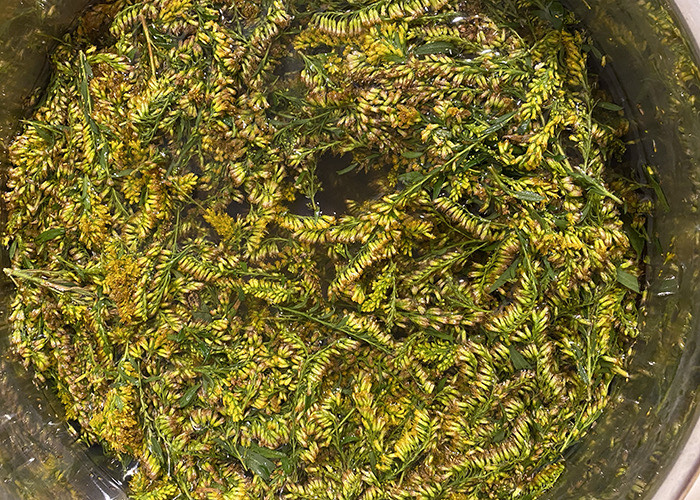 Local Dye, Inks & Pigments