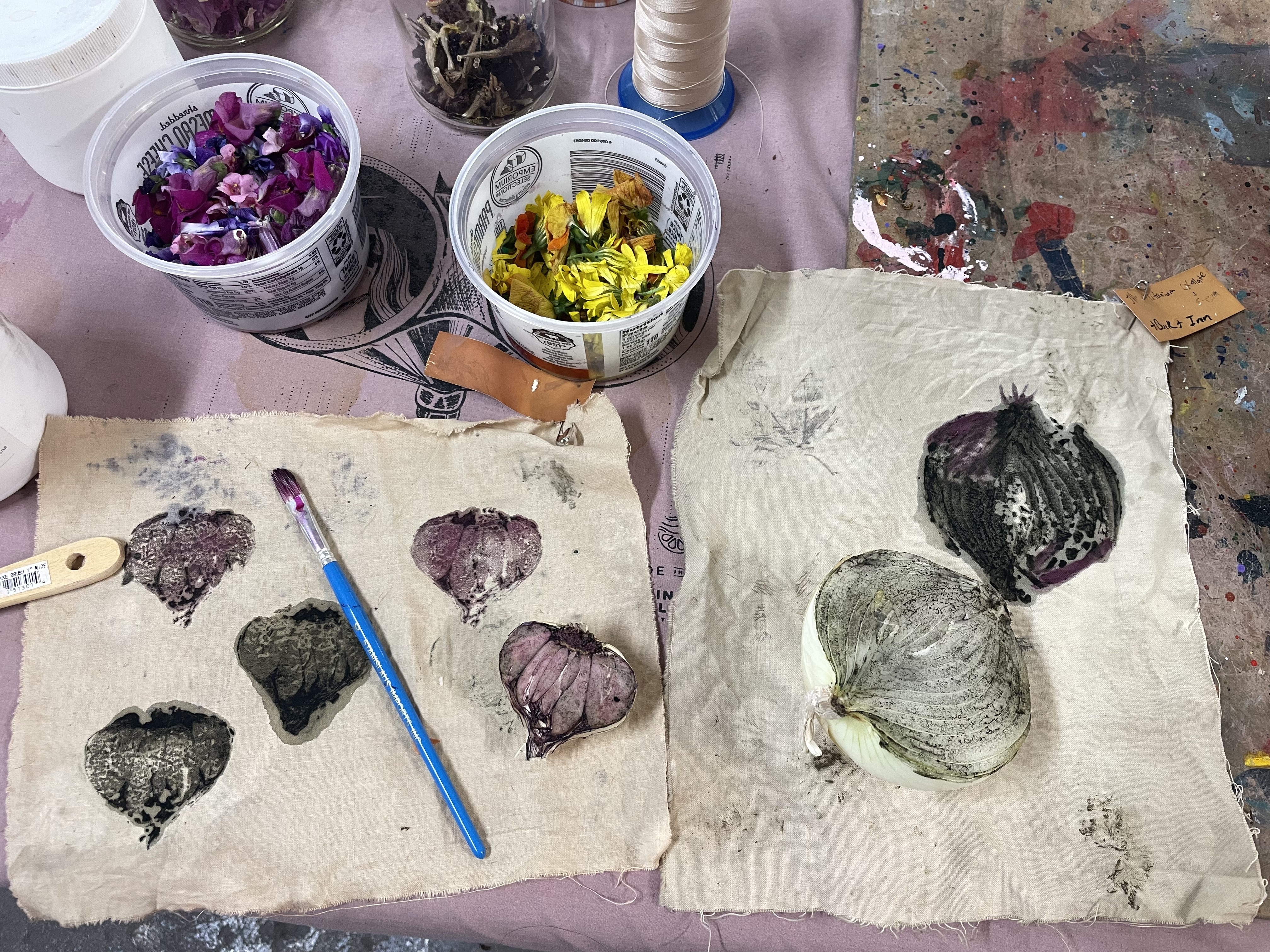  Natural Dye Projects: Fall Foraging