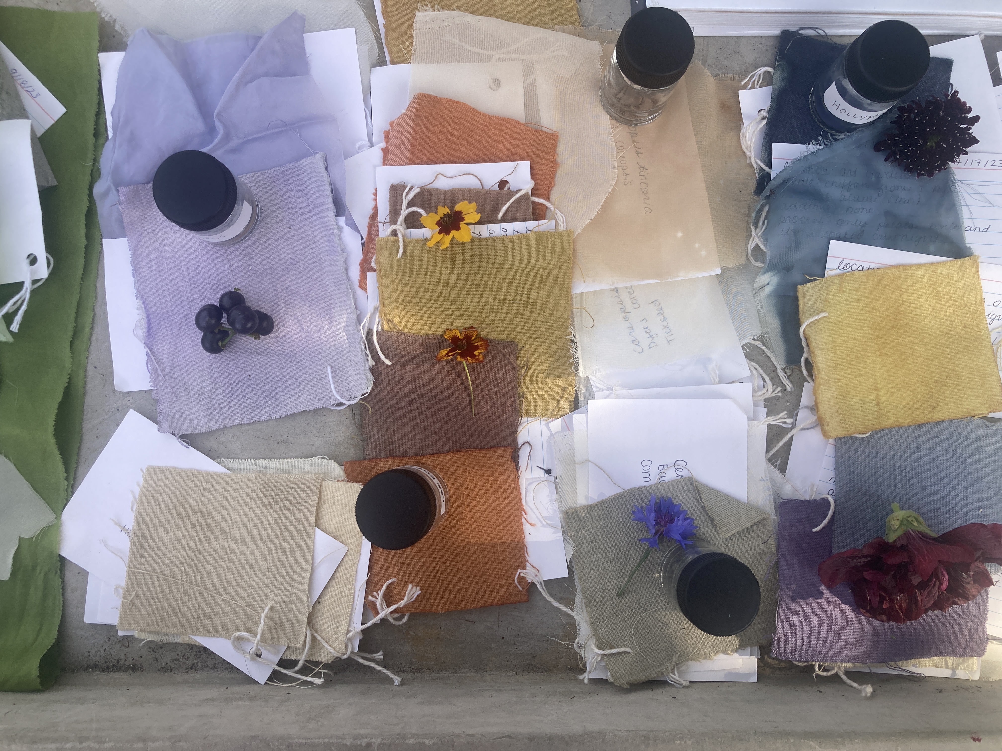 Natural Dye Projects: Spring Foraging