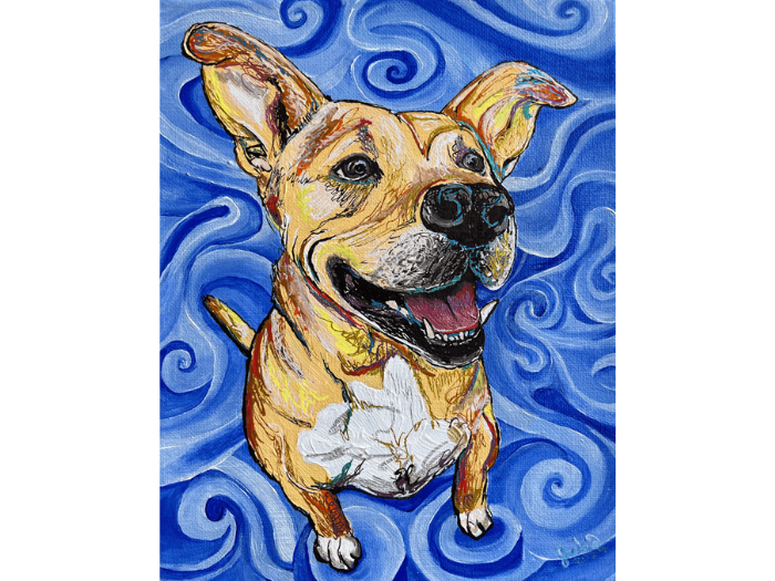 Pet Portraits