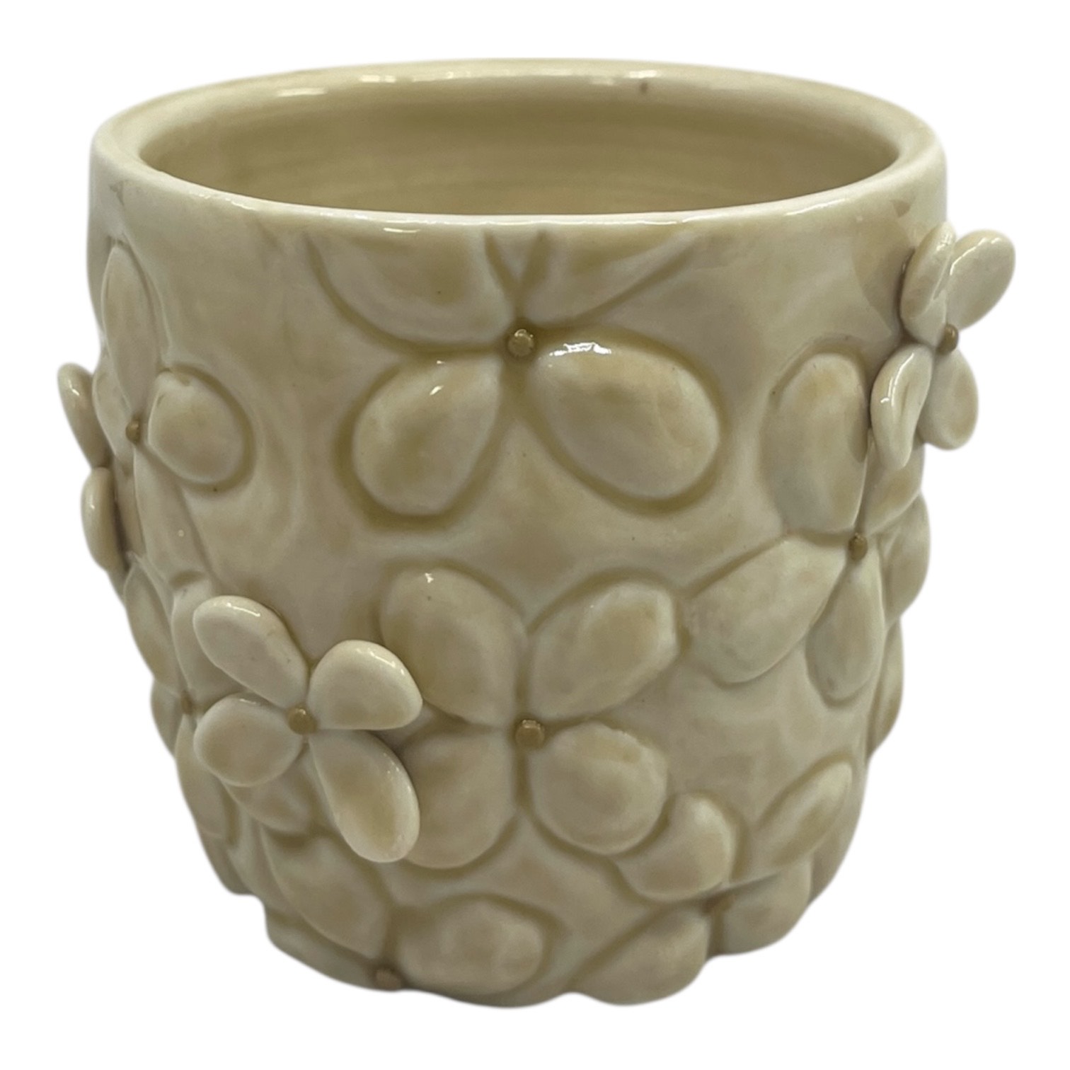 Water- plant cup *Kitchen Sink