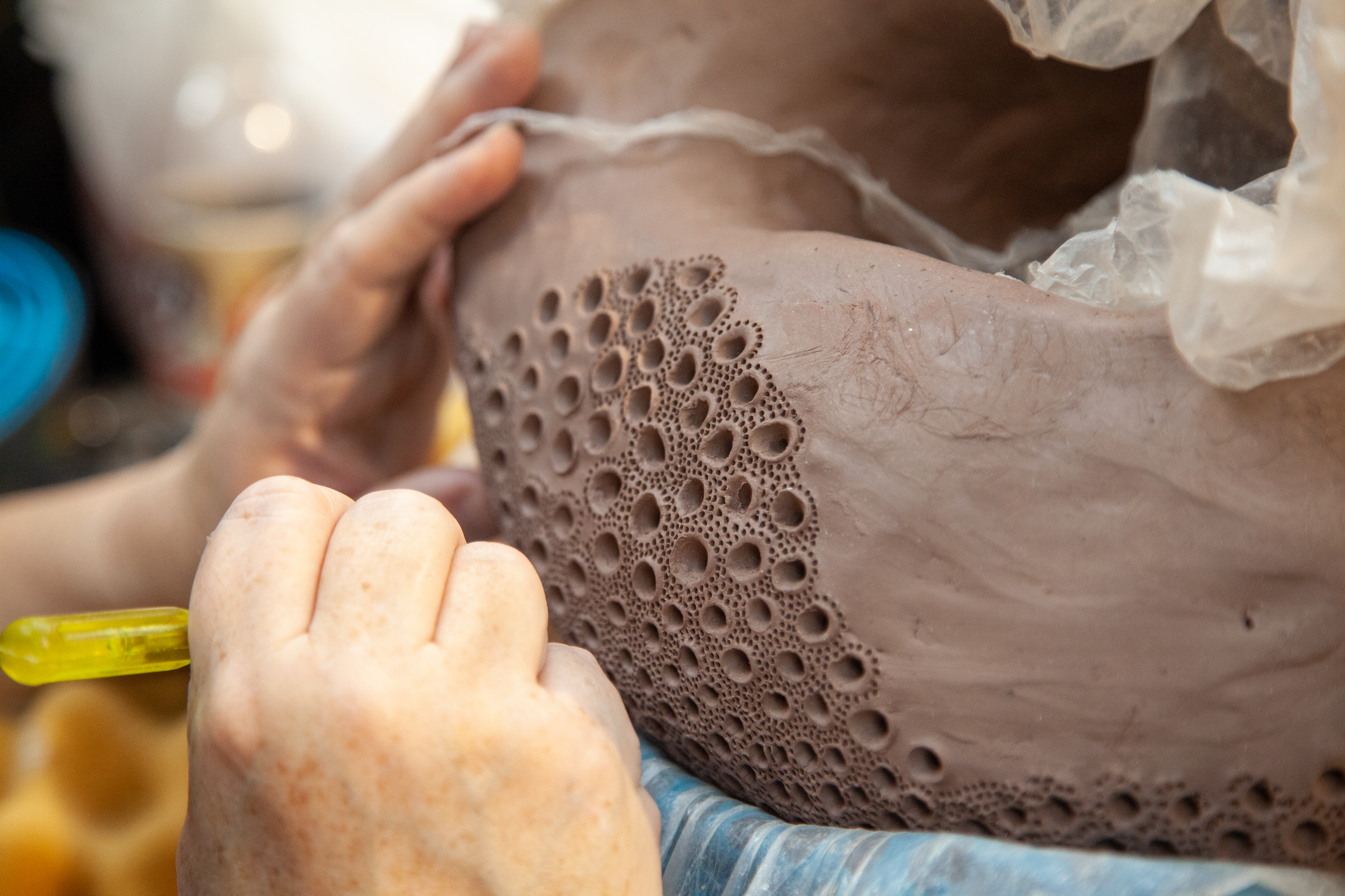 Textural by Nature: The Forest