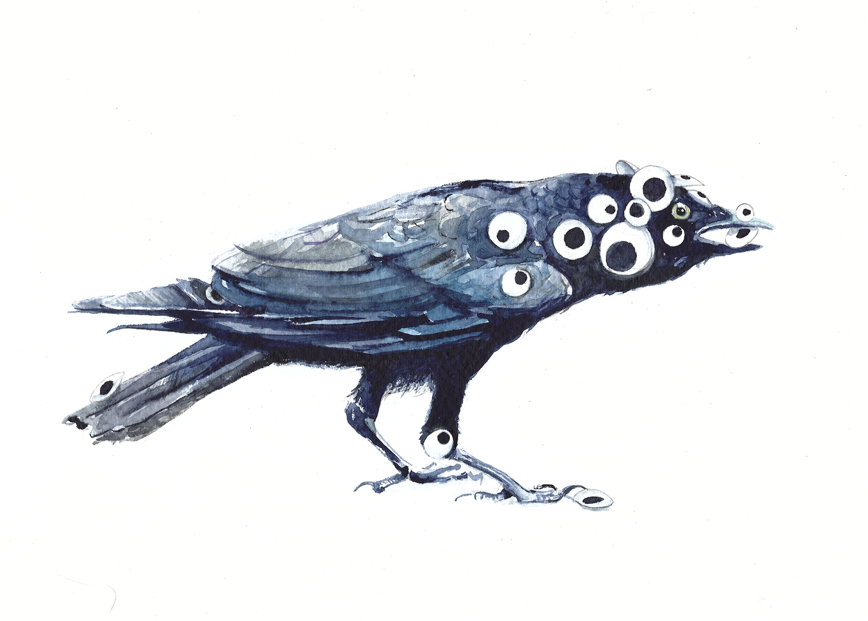 Beginning Illustration